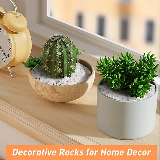 2.5 lbs White Aquarium Gravel, 1/5 Inch White Rocks for Plants, Small Pebbles for Vases, Succulents, Bamboo, Natural Decorative Pebbles for Plants Drainage, Cactus, Crafts