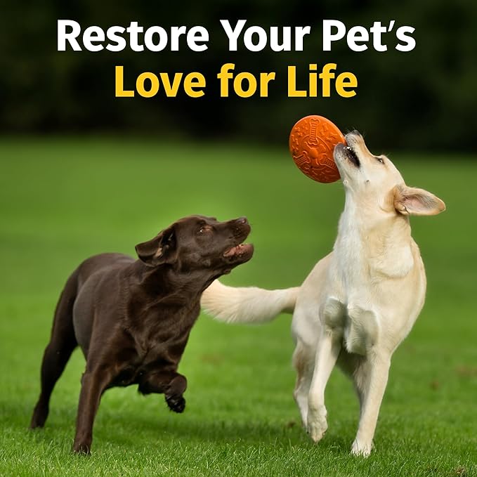 Hip & Joint Supplement for Dogs & Cats with Cetyl Myristoleate, Glucosamine, Collagen, MSM - Advanced Joint Support for Mobility, Senior Pets, Small & Large Breeds - 60 Chews (Pork Liver)