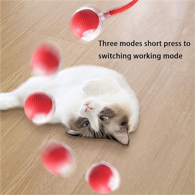 2 Packs Interactive Cat Toy Ball for Indoor Cats - 3-Speed Smart Rolling Ball with Flashing Lights, USB Rechargeable Automatic Motion Kitten Toys for Bored Adult Cats & Playful Kittens