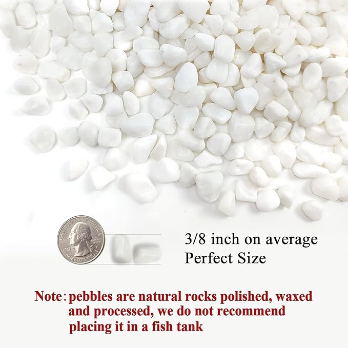 2 Pounds White Pebbles for Indoor Plants, 3/8 Inch Polished White Rocks, Decorative River Rocks for Potted Plants Vase Cactus Bird Bath and Outdoor Garden Landscaping