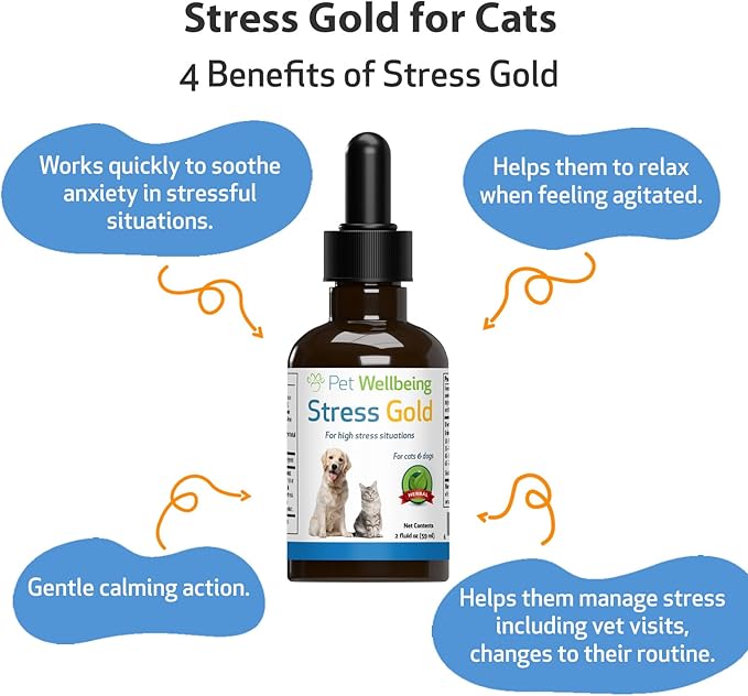 Pet Wellbeing Stress Gold for Cats - Occasional High Stress and Restlessness, Supports Relaxation, Travel, Vet Trips, Skullcap, Valerian - Veterinarian-Formulated Herbal Supplement 2 oz (59 ml)