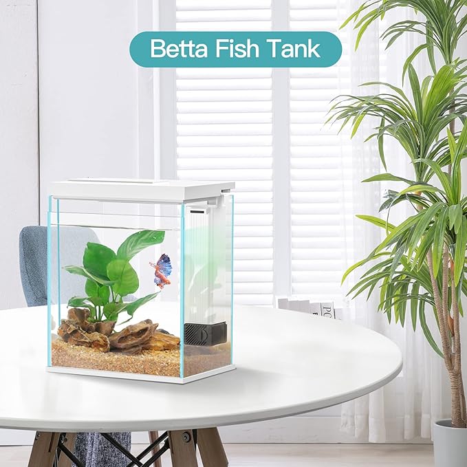 2 Gallon Glass Betta Fish Tank with Heater Filter and Light, Self-Cleaning Small Fish Tank Starter Kits.