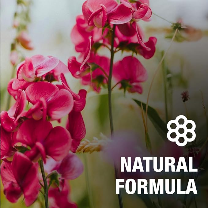 CoreTex Bug X FR DEET-Free Insect Repellent Wipes - Pack of 25 Single-Use, Naturally Derived Geranium Oil Bug Wipes - Protects Against Flies, Fleas & Mosquitoes - Travel Mosquito Repellent Towelettes