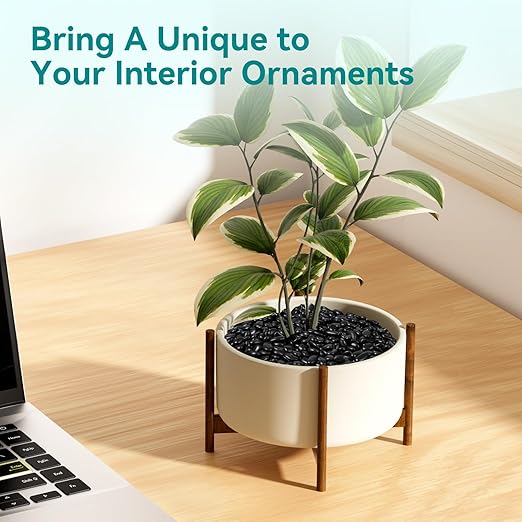 10 lbs Black Pebbles for Indoor Plants, 3/8" Small Rocks for Plants Indoor, Succulent, Bamboo, Vase, Decorative Black River Rocks Pea Gravel, Highly Polished