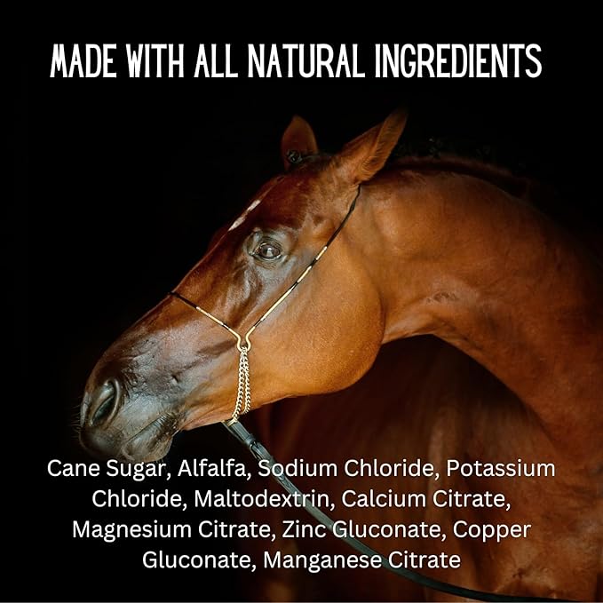 Gallagher's Water 120 Pack All-Natural Patented Equine Hydration Treat - Enhancement Powder Mix Horse Drink Treat to Help Encourage to Drink Water - Made with All Natural Ingredients, FEI Compliant