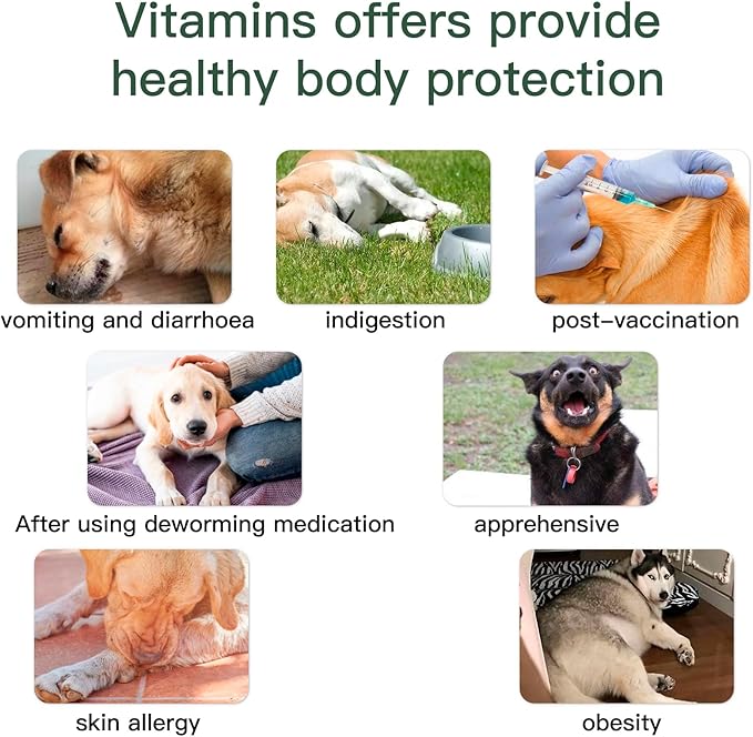 Dog Vitamins and Supplements, Senior & Puppy Multivitamin for Dogs Support with Glucosamine Chondroitin Omega Probiotics - Dog Multivitamins Chewable for Hip & Joint, Skin, Immune - (Chicken 240 Ct)