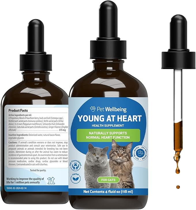 Pet Wellbeing Young at Heart for Cats - Heart Health, Circulatory & Cardiovascular System, Hawthorn, Motherwort, Schisandra - Veterinarian-Formulated Herbal Supplement 4 oz (118 ml)