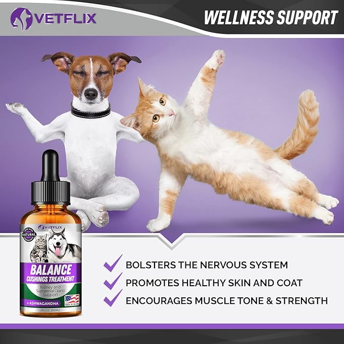 Pet Adrenal Support for Dogs & Cats - Made in USA - Cushings Treatment for Dogs - Cat & Dog Supplement for Kidney Support - 2 Fl Oz