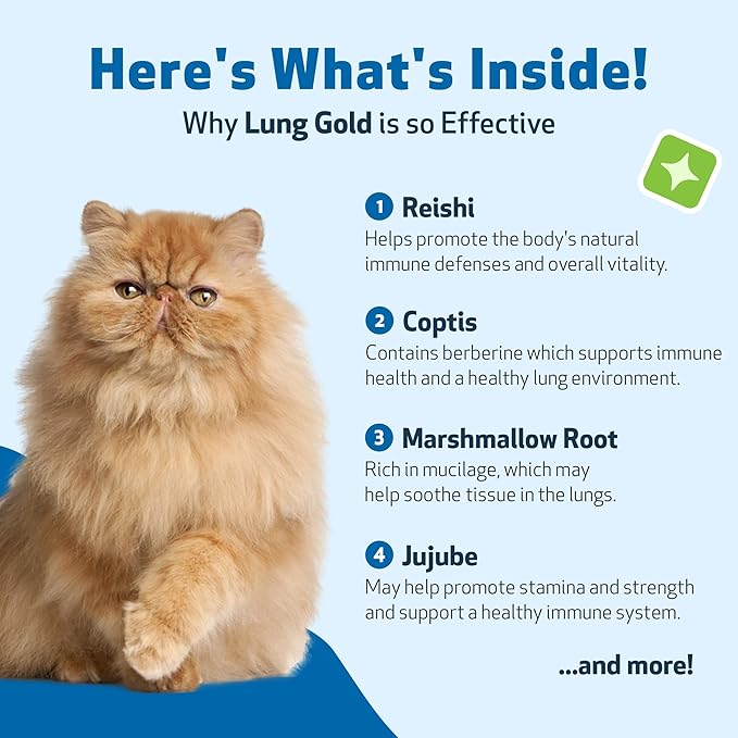 Pet Wellbeing Lung Gold for Cats - Lung Immune Support, Lower Respiratory Health, Open Airways, Normal Breathing, Reishi, Coptis - Veterinarian-Formulated Herbal Supplement - 4 oz (118 ml)