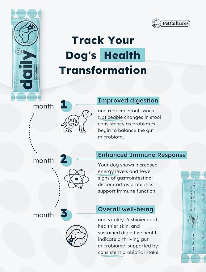 Daily Synbiotic Formula - A TriBiotic Blend with 6 Strains, B-Vitamins, and Digestive Enzymes in 30 Packs