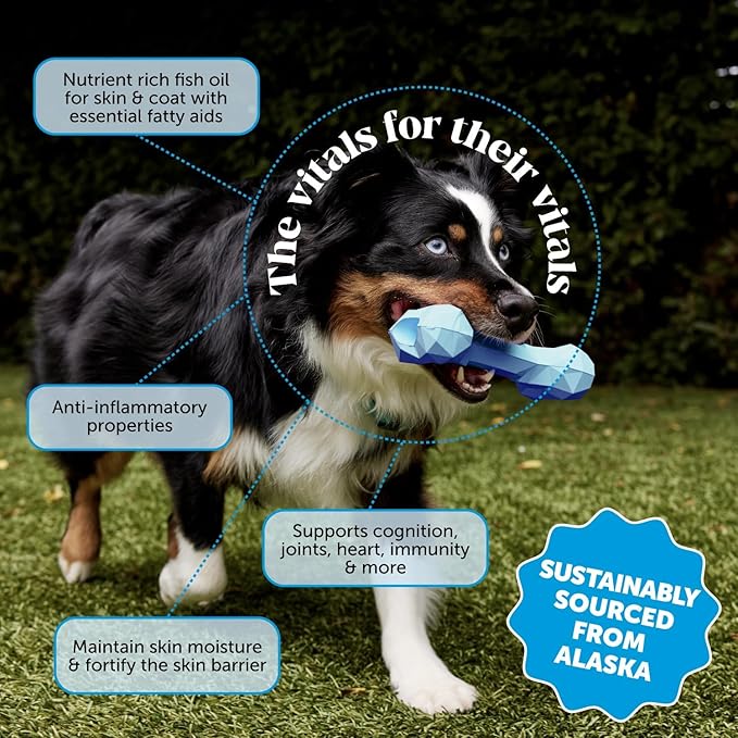 Omega 3 Fish Oil Supplement for Dogs & Cats (16oz), Wild Caught Omega 3 Fish Oil for Skin and Coat Health, Supports Shedding, Skin & Coat, Immunity, Joint, Brain & Heart, EPA + DHA