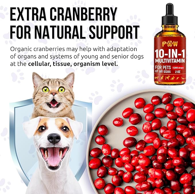 Liquid Multivitamin for Dogs – Daily Glucosamine, Vitamin B, C & D3 Support – Cat Vitamins for Indoor Cats to Care for Joints & HIPS, Skin & Coat, and Gut – Help with Allergies & UTIs – 2 Oz