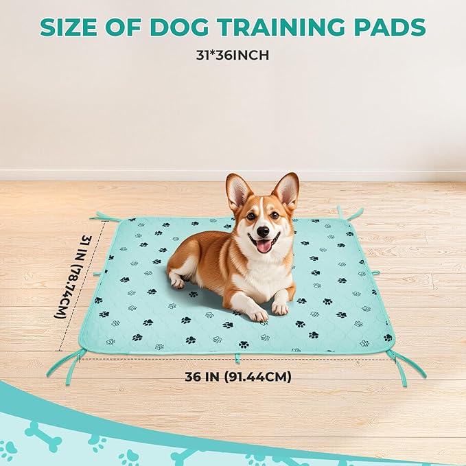 Fostanfly Washable Pee Pads for Dogs, 2 Pack Large 31"x36" Ultra-Absorbent and Leak-Proof Non-Slip Reusable Potty Training Pads for Dogs, Cats, Puppy, Potty of Add 8 Lanyards, Green