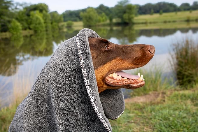 Devil Dog Premium Pet Drying Towel, Ultra-Soft, Highly Absorbent Microfiber Bath Towel for Dogs, Cats, and Other Animals - Gray, Small 16" x 24" 1200GSM 80% 20% Blend