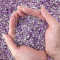0.5 Lb/230g Amethyst Crystal Chips Bulk Tumbled Crushed Stones 3-5mm, Natural Crushed Crystal Quartz Healing Stones Rocks for Vases Filler, Aquarium Gravel Rocks, Succulent Plants Decor