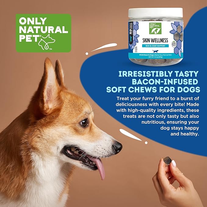 Only Natural Pet Skin Wellness Soft Chew 60 Count