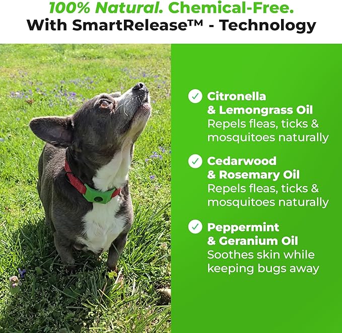 FurLife Grey Dog Tag, Flea and Tick Prevention for Dogs - Waterproof Pendant for Collar, Safe for All Breeds