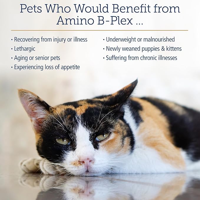 Rx Vitamins Amino B-Plex Cat & Dog Supplement - Vitamin B Complex Liquid Plus Amino Acids for Dogs & Cats - Appetite Booster and Cat & Dog Weight Gainer - Supplements & Vitamins - 8 oz