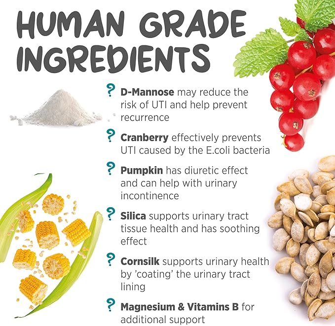 maxxipaws maxxiUtract Urinary & Bladder Support - Powder Supplement for Cats, 2.1oz