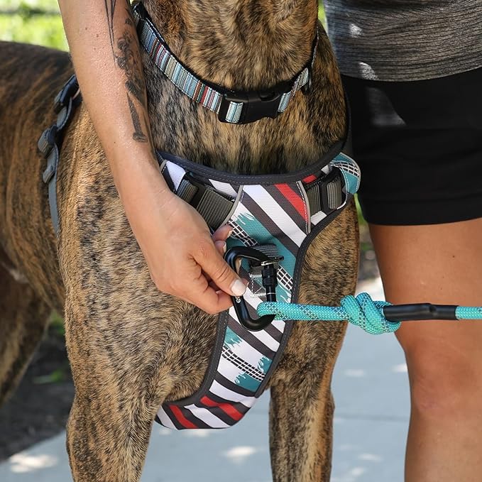 Embark Adventure Dog Harness, Reflective Trim No Pull Dog Harness for Large Dogs - Military Grade Nylon, Front Clip with Gel Lined Handle.