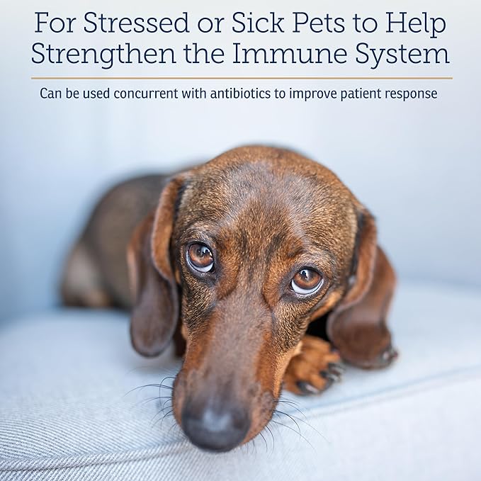 Rx Vitamins Liquid Immuno - with L-Lysine for Cats and Dog Health - Reishi Mushroom Supplement for Dogs & Cat Immune Support - Vitamins for Dogs and Dog Eye Supplements with Lutein - Chicken (2oz)