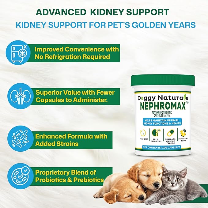 NEPHROMAX™ Kidney Support Supplement Cats 360