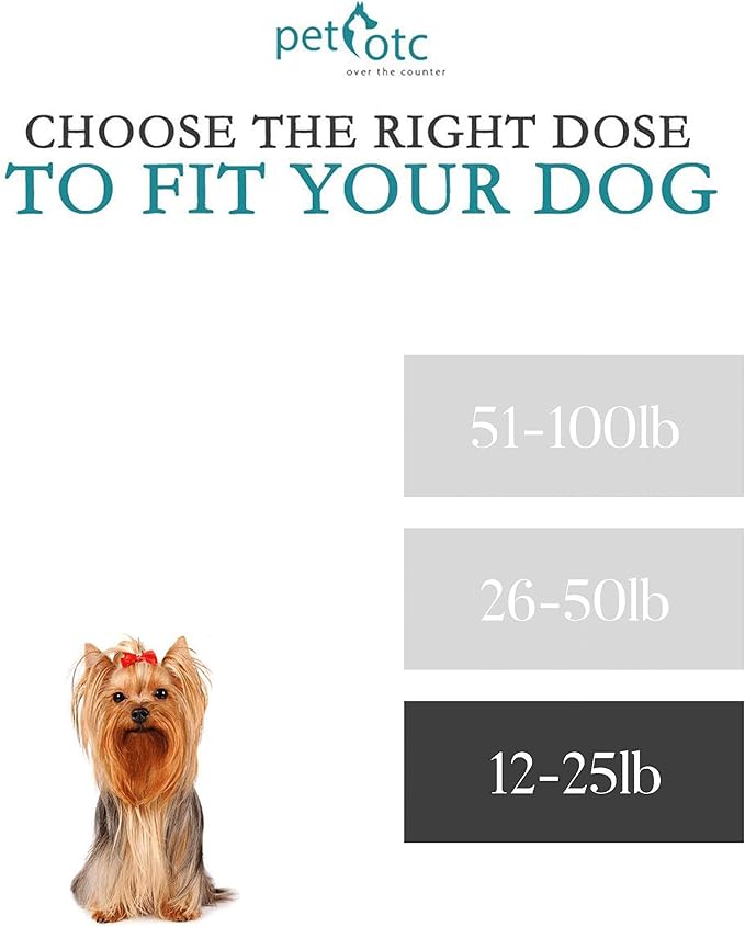 Anti-Motion Sickness and Nausea Relief for Small Breed Dogs, Relief for Disorientation and Dizziness, 10 Tablets