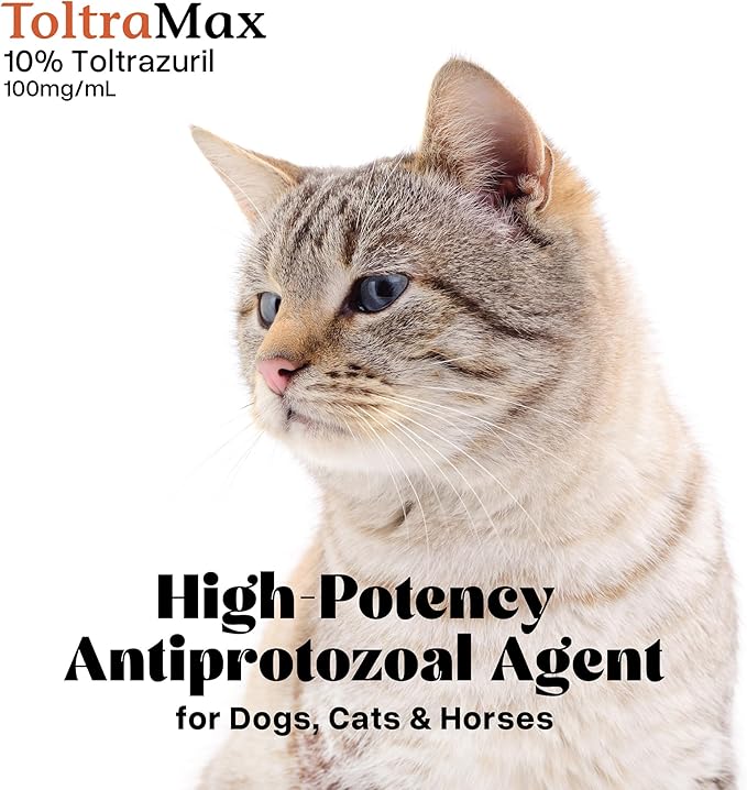 Toltrazuril 10.0% for Horses, Dogs, Cats, 60mL/2 Ounce, for Non-Food Chain Animals, Chicken