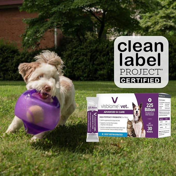 Visbiome® Vet Advanced GI Care Probiotic for Dogs & Cats – 225B CFU, 8-Strain Formula – Veterinarian Recommended, Clean Label Certified – 60 Packets