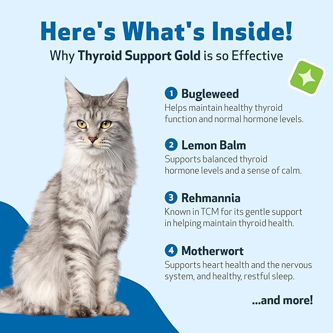 Pet Wellbeing Thyroid Support Gold for Cats - Supports Healthy Thyroid Gland Function in Cats, Normal Metabolism, Bugleweed, Lemon Balm - Veterinarian-Formulated Herbal Supplement 4 fl oz (118 ml)