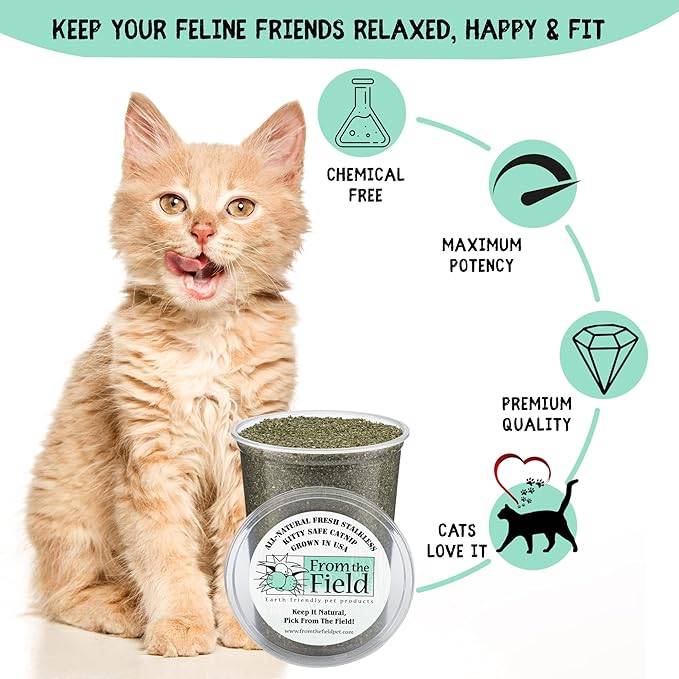 from The Field | Fine Ground Stalkless Catnip | Premium USA-Grown Catnip for Toys & Playtime | Fresh, Potent, Non-Toxic, Eco-Friendly | Safe for Kittens & Cats | Resealable 3 Oz Bag