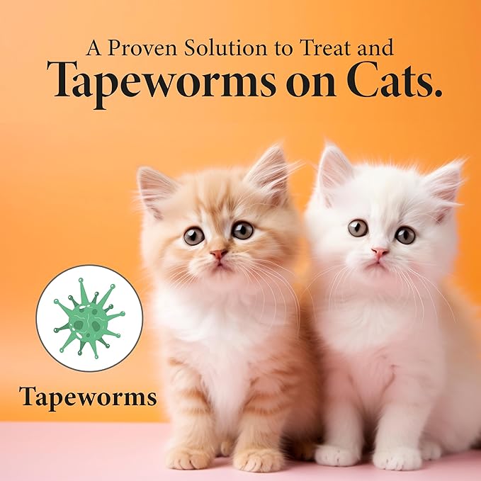 No More Tapeworms in Cats - Dewormer for Cats - 3ml Dropper