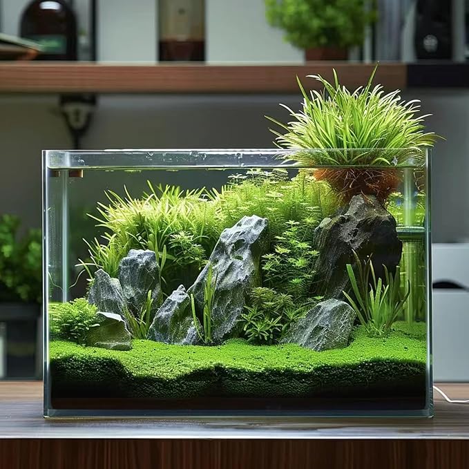 10 Gallon Glass Fish Tank, Easy to Maintain Small Aquarium for Betta/Goldfish/Snails/Shrimp and Aquatic Planting.