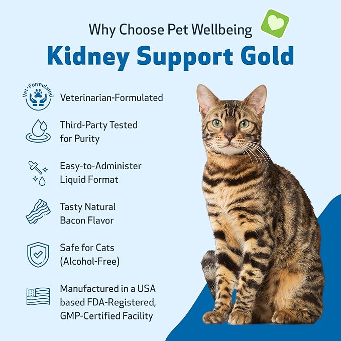 Pet Wellbeing Kidney Support Gold for Cats - Supports Healthy Kidney Function, Fluid Balance, Energy Levels, Rehmannia, Dong Quai - Veterinarian-Formulated Herbal Supplement 2 fl oz (59 ml)