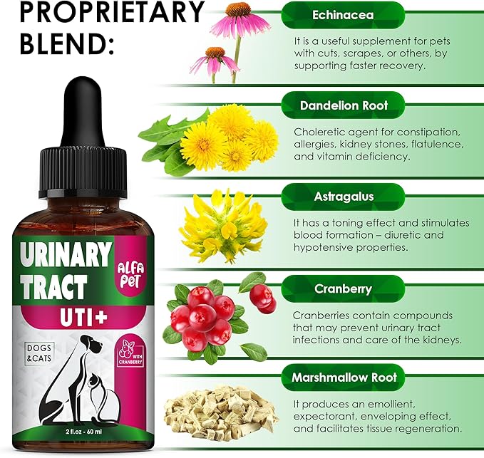 Сat Urinary Tract Infection Treatment with Cranberry – Dog UTI Treatment to Care for Bladder – Cat UTI Treatment for Kidneys – Preventive Support for Renal Health in Drops – 2 Oz