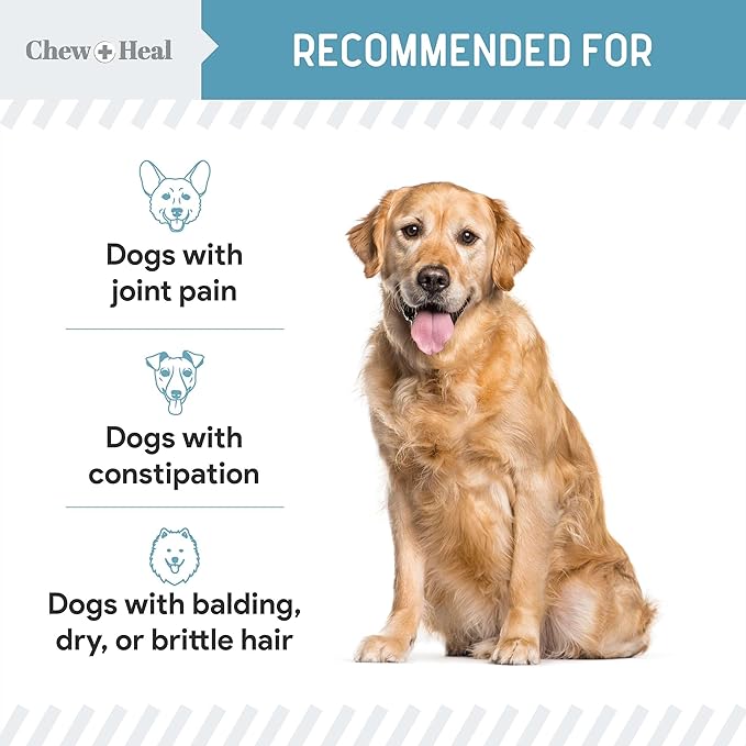 12-in-1 Multivitamin Powder for Dogs - 5.4 oz of Puppy and Senior Dog Vitamins and Supplements - Advanced Formula with Glucosamine, Omega 3,6,9, Vitamins, Probiotics, and More - Made in The USA