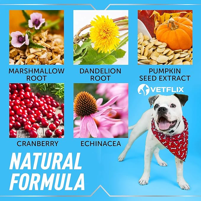 Cranberry Dog & Cat UTI Treatment - Best UTI for Pets - Made in USA - Dog & Cat Kidney Support - Cat Bladder Drops - Pet Immune Health Supplement - Marshmallow, Dandelion Root, Pumpkin Seed - 2 Fl Oz