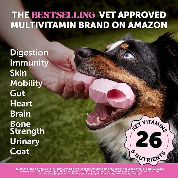 Multivitamin Dog Supplement, Glucosamine chondroitin for Dogs, Probiotics, Omega Fish Oil, Dog Supplements & Vitamins, Vitamins for Skin and Coat Allergies, (Peanut Butter 90 ct)