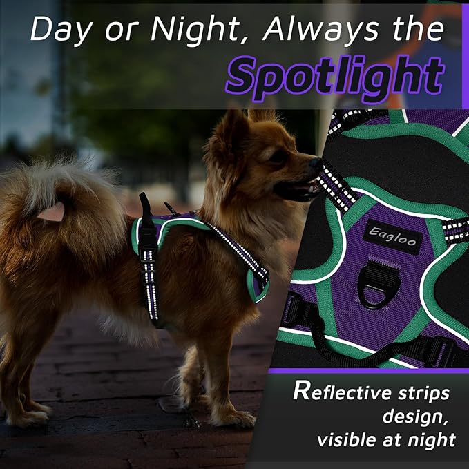 Eagloo Small Dog Harness No Pull, Service Vest with Reflective Strips and Control Handle, Adjustable and Comfortable for Walking, No Choke Pet Harness with 2 Metal Rings, Purple & Green, XS