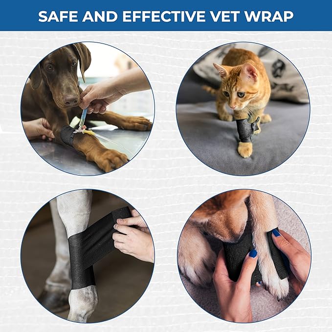 Self Adhesive Bandage Wrap - Pack of 12 Black Color, Non-Woven, Breathable & Water-Resistant Vet Wrap for First Aid, Sports Injury, Body Sprains, & Pets - 2 Inch x 5 Yards