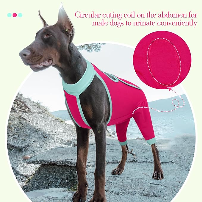 ROZKITCH Dog Surgery Leg Sleeve Rear Legs, Male Female Pet Prevent Licking Wound Elbow Knee Protector, Dog Recovery Suit Cone Collar Alternative Pants Shirt for Wound Heal Wrap Rosered M