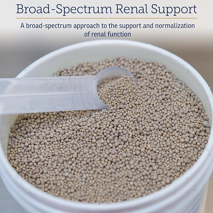 Rx Vitamins Renal Feline Beadlets - Cat Kidney Support with Astragalus Root and Milk Thistle for Cats - Supports Kidney and Immune Health in Cats - 3.52oz