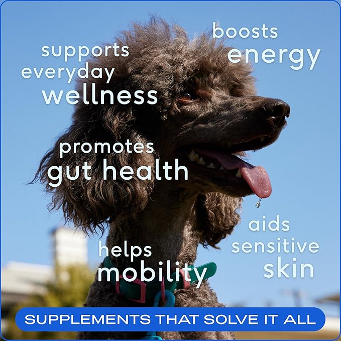 Native Pet The Daily Dog Supplement (60 Scoops) & Salmon Oil for Dogs & Cats (8 Oz) - 11 in 1 Multivitamin & Pure Omega-3 Fish Oil Supplement for Skin & Coat, Joint, Heart Health & Anti-Inflammatory
