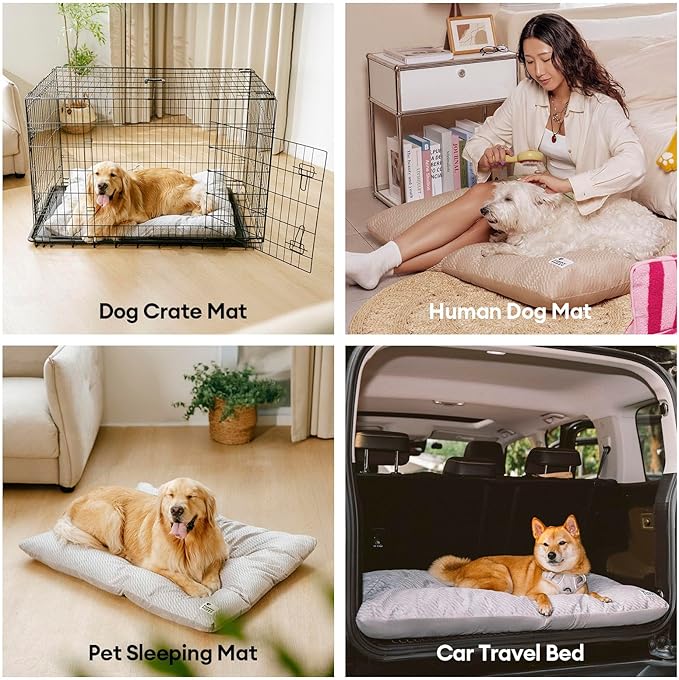 FUNNY FUZZY 2 in 1 Dog Bed Crate Pad Mat, Washable Reversible Floor Pet Mats,Fluffy Kennel Pad for Small Large Sized Dog,Indoor Cats,Sleeping Mattress, 23.6" × 17.9", Light Grey