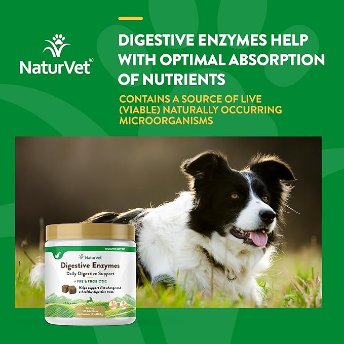 NaturVet – Digestive Enzymes - Plus Probiotics & Prebiotics – Helps Support Diet Change & A Healthy Digestive Tract – for Dogs & Cats (Soft Chews, 120 Count)