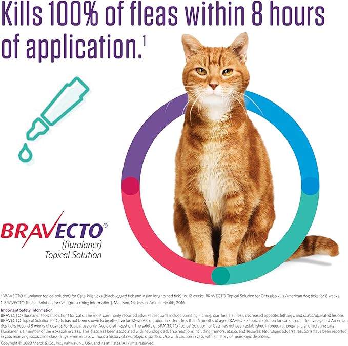 BRAVECTO Topical Solution for Cats, Flea & Tick, 12 Week Supply, >13.8-27.5 lbs., Purple Box