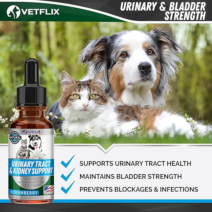 Cranberry Dog & Cat UTI Treatment - Best UTI for Pets - Made in USA - Dog & Cat Kidney Support - Cat Bladder Drops - Pet Immune Health Supplement - Marshmallow, Dandelion Root, Pumpkin Seed - 2 Fl Oz
