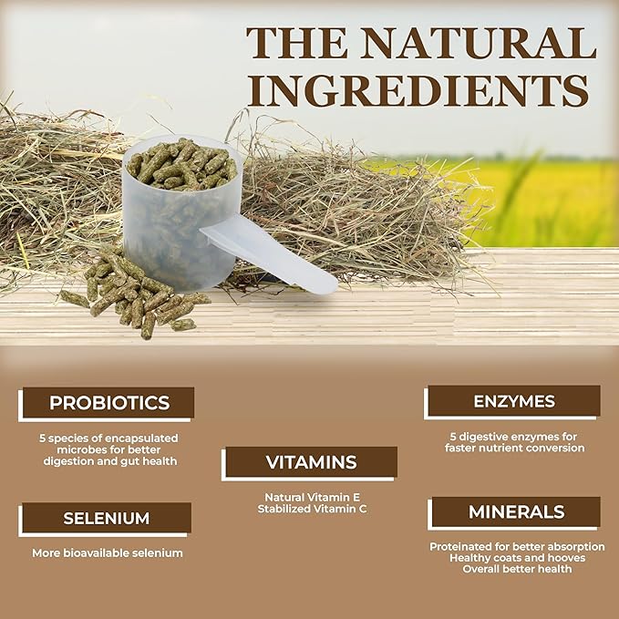 Equerry's Economy Equine Supplement - Horse Probiotics | Supplement for Horses | Horse Vitamins and Minerals Supplement with Enzymes and Selenium, 10lb