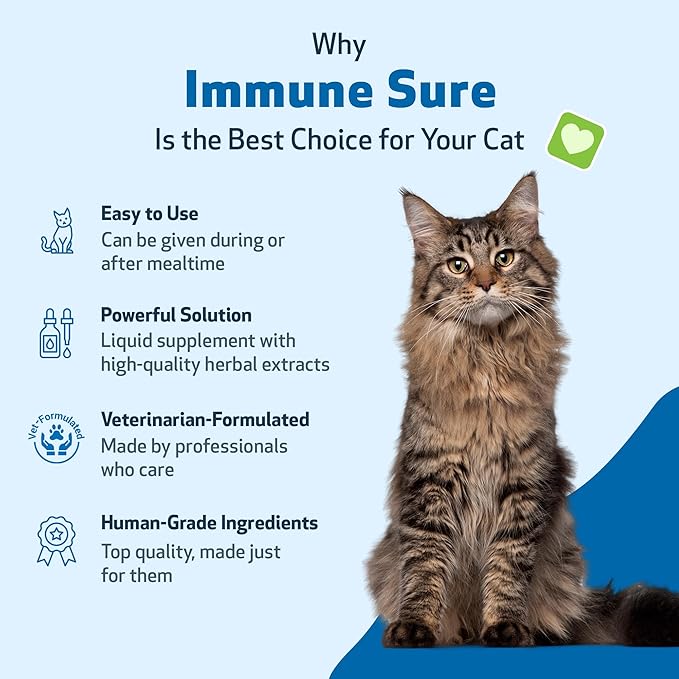 Pet Wellbeing Immune Sure for Cats - Supports Normal Immune Defenses, Gut Flora Balance, Andrographis, Echinacea, Vitamin C, Zinc - Veterinarian-Formulated Herbal Supplement 4 oz (118 ml)