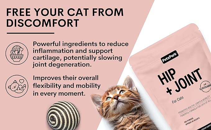 Hip and Joint Supplement for Cats - Glucosamine, Chondroitin, MSM for Joint Hip Care, Arthritis Pain Relief, Mobility Support, Cartilage Health, Inflammation Reduction - Senior Cat Support, 60 Scoops